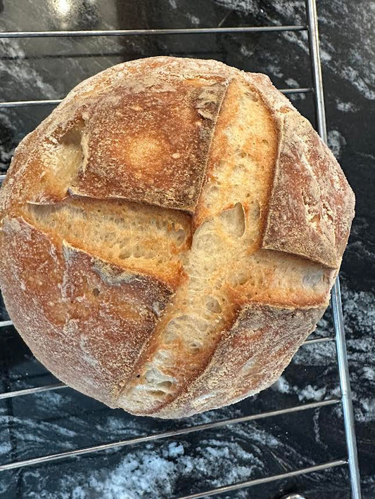 Gluten Free Sourdough