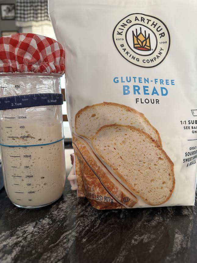 Gluten Free Sourdough