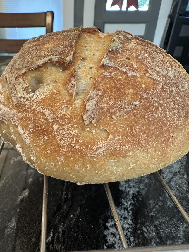Gluten Free Sourdough