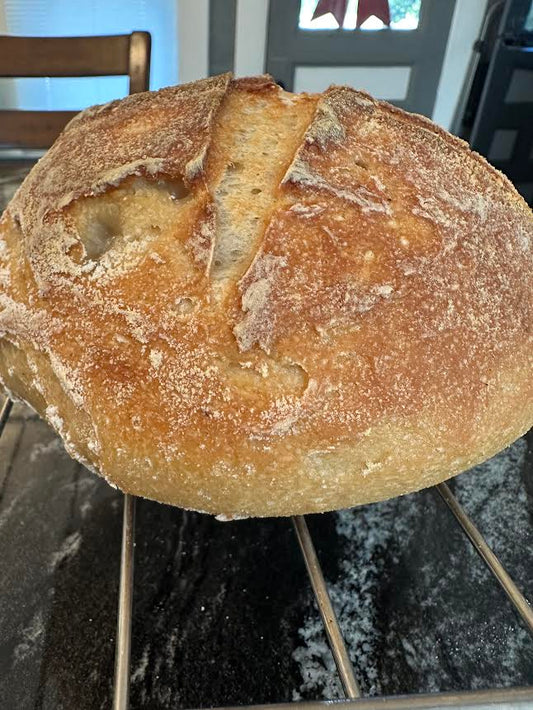 Gluten Free Sourdough